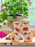 Load image into Gallery viewer, Rare &amp; Fabulous Tibetan Spaniels
