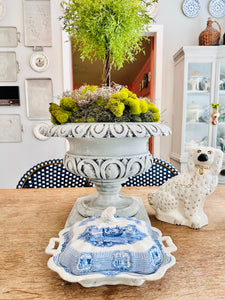 Antique (1829-1861) Bologna Adam’s & Son’s Transferware Covered Dish