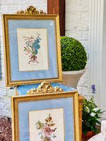 Load image into Gallery viewer, Pair of Magnificent Botanicals in Gilded Bow Frames
