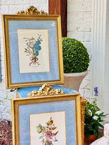 Pair of Magnificent Botanicals in Gilded Bow Frames