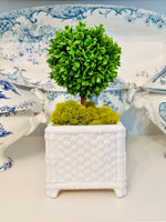 Load image into Gallery viewer, Faux Bamboo Ceramic Cachepot
