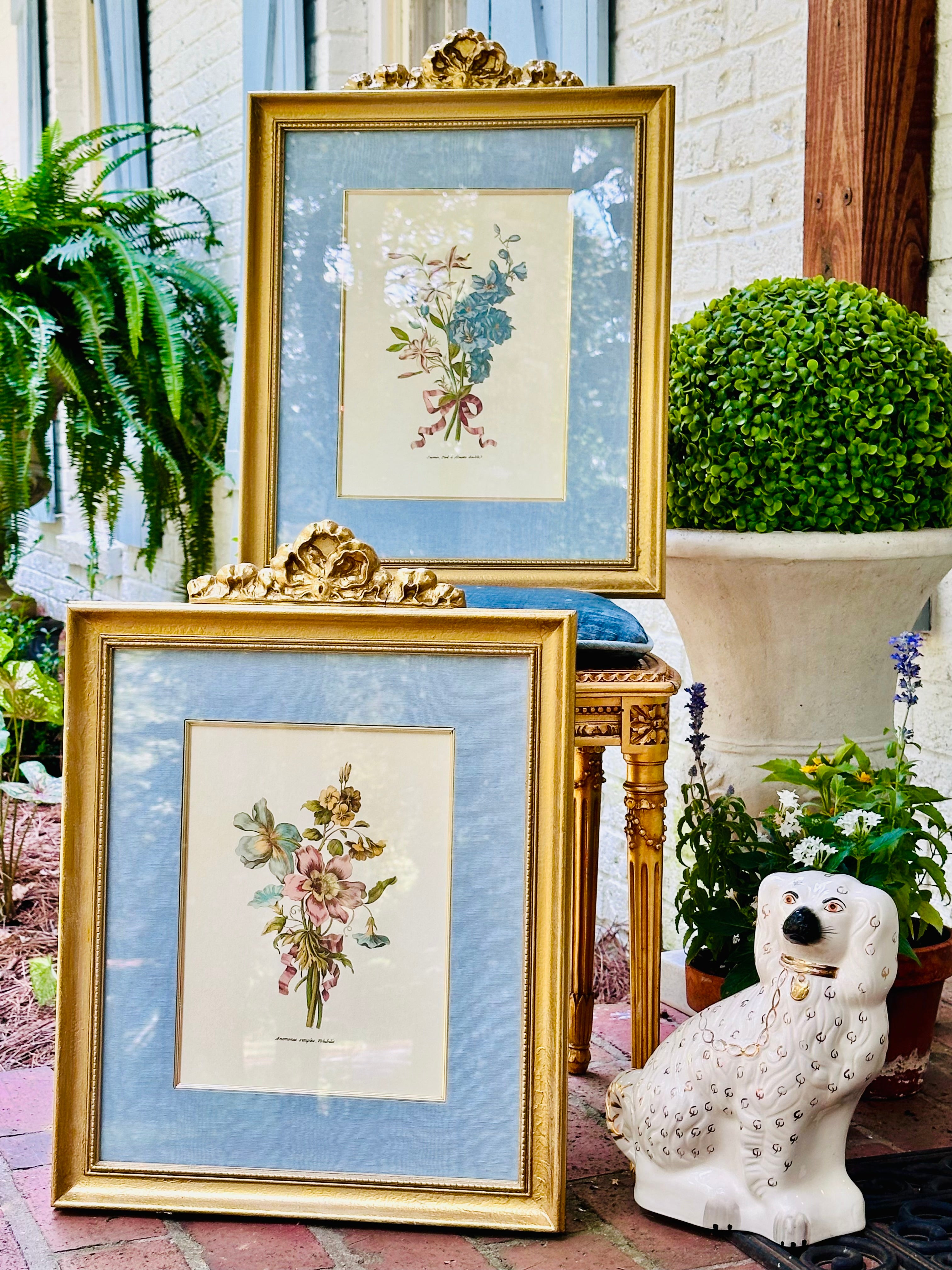 Pair of Magnificent Botanicals in Gilded Bow Frames