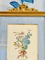 Load image into Gallery viewer, Pair of Magnificent Botanicals in Gilded Bow Frames
