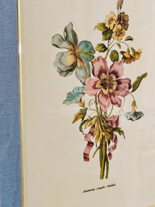 Pair of Magnificent Botanicals in Gilded Bow Frames