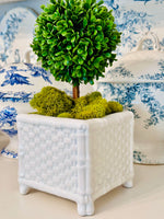 Load image into Gallery viewer, Faux Bamboo Ceramic Cachepot
