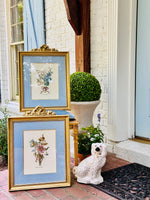 Load image into Gallery viewer, Pair of Magnificent Botanicals in Gilded Bow Frames
