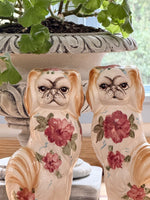 Load image into Gallery viewer, Rare &amp; Fabulous Tibetan Spaniels
