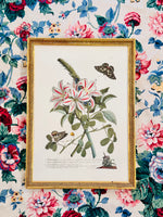 Load image into Gallery viewer, Vintage Botanical with Butterflies

