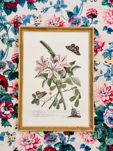 Vintage Botanical with Butterflies