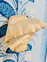 Load image into Gallery viewer, Magnificent Carved Shell Drapery Rod Holders
