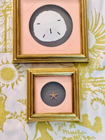 Load image into Gallery viewer, Lovely Trio of The Chicest Palm Beach Decor
