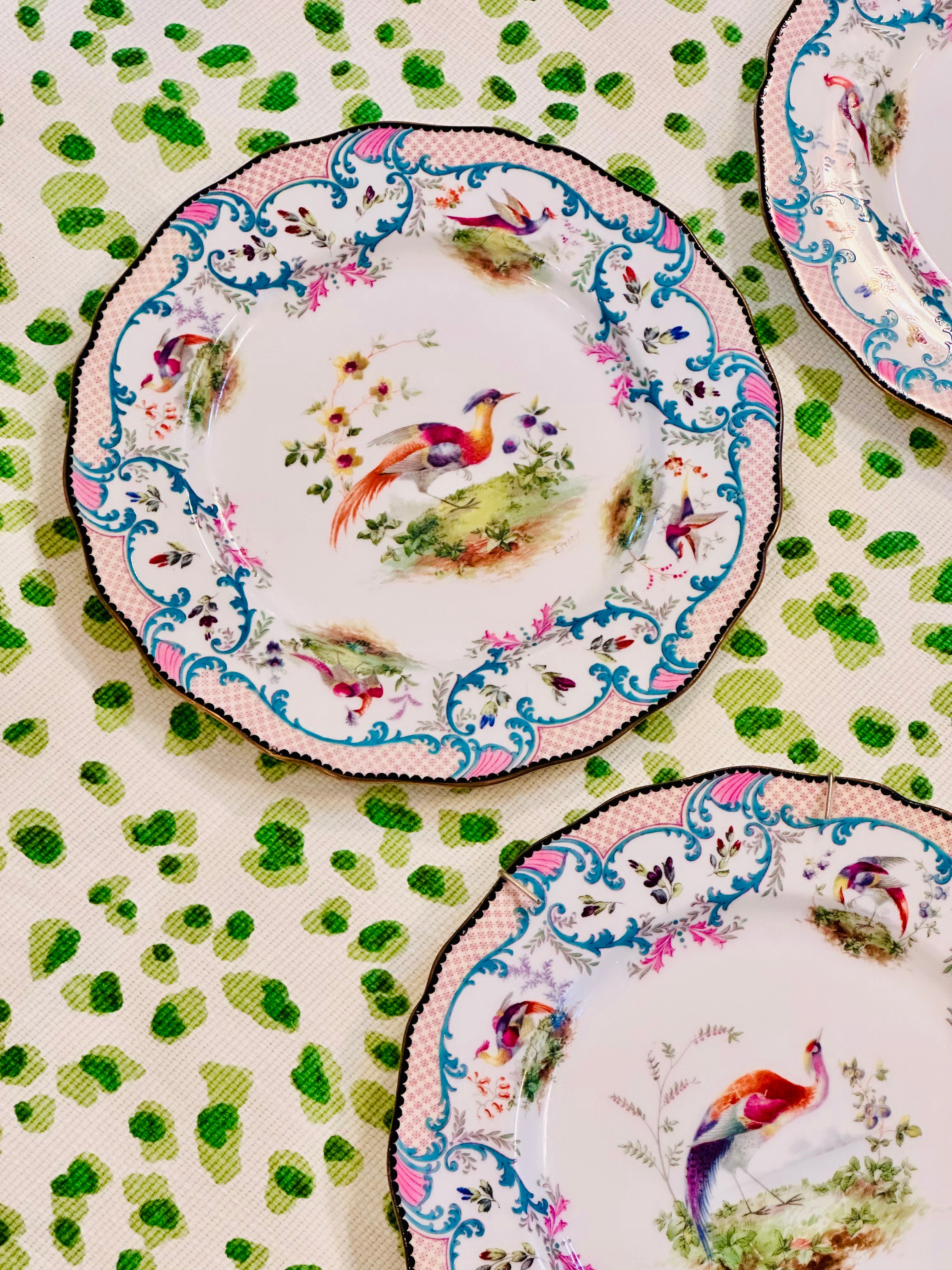 Set of Four Royal Dalton Birds of Paradise Dinner Plates
