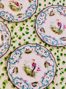 Set of Four Royal Dalton Birds of Paradise Dinner Plates