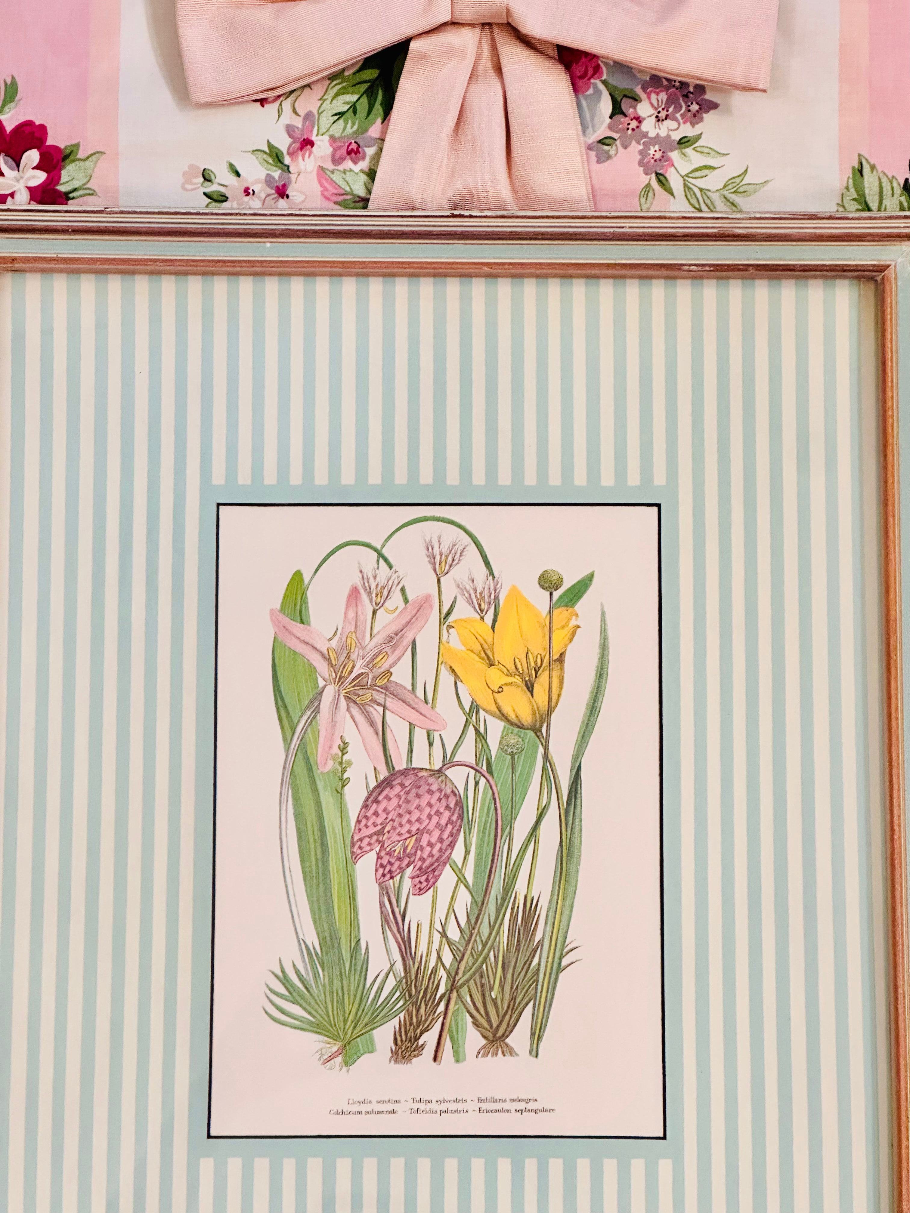 Magnificent Vintage Framed Botanical