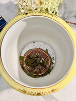 Load image into Gallery viewer, Striking Yellow Hand Painted Cachepot with Flower Frog
