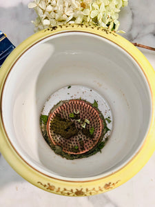 Striking Yellow Hand Painted Cachepot with Flower Frog