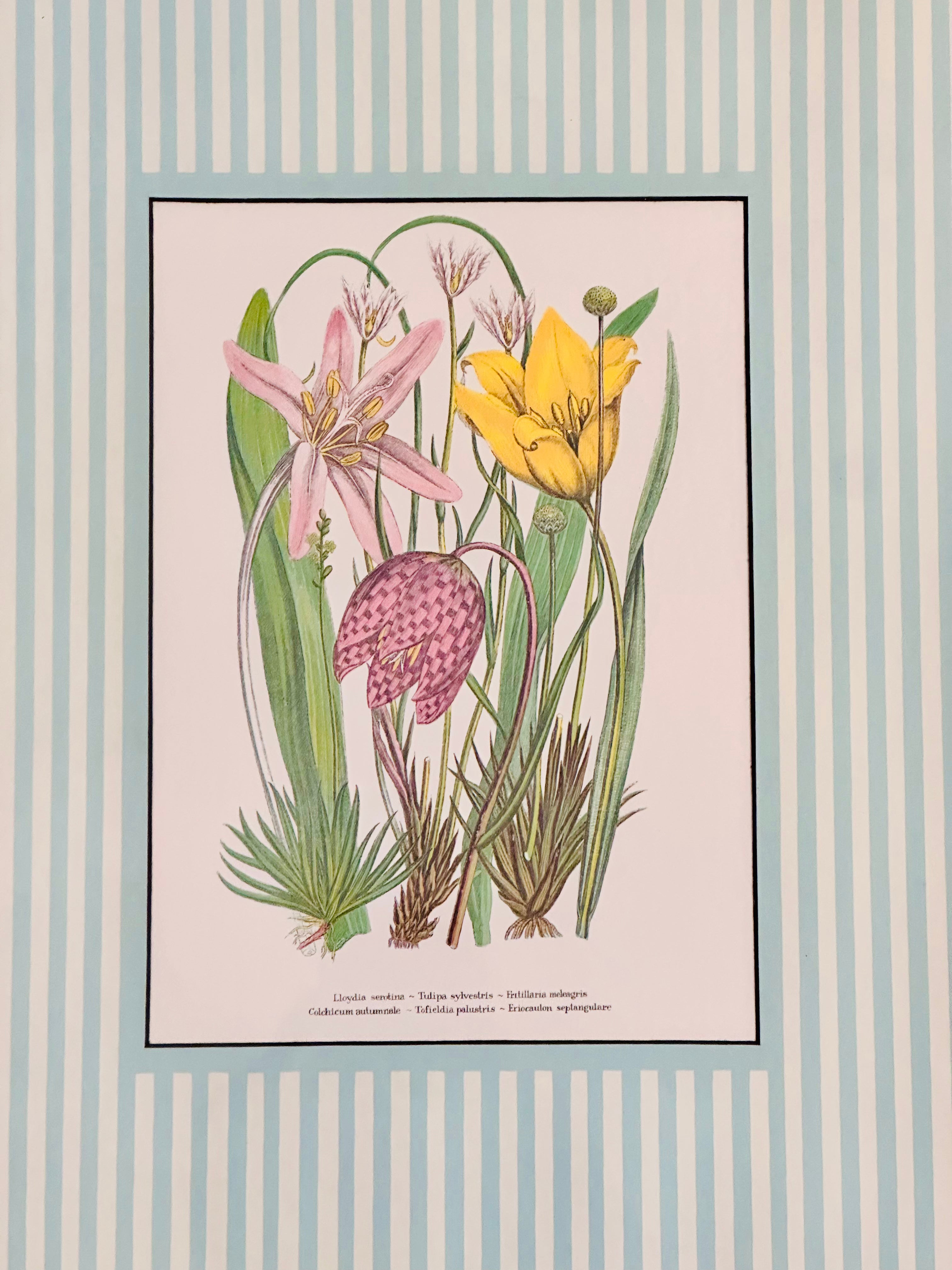Magnificent Vintage Framed Botanical