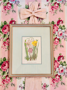 Magnificent Vintage Framed Botanical
