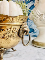 Load image into Gallery viewer, Beautiful &amp; Endlessly Versatile Brass Lion Heads Cachepot
