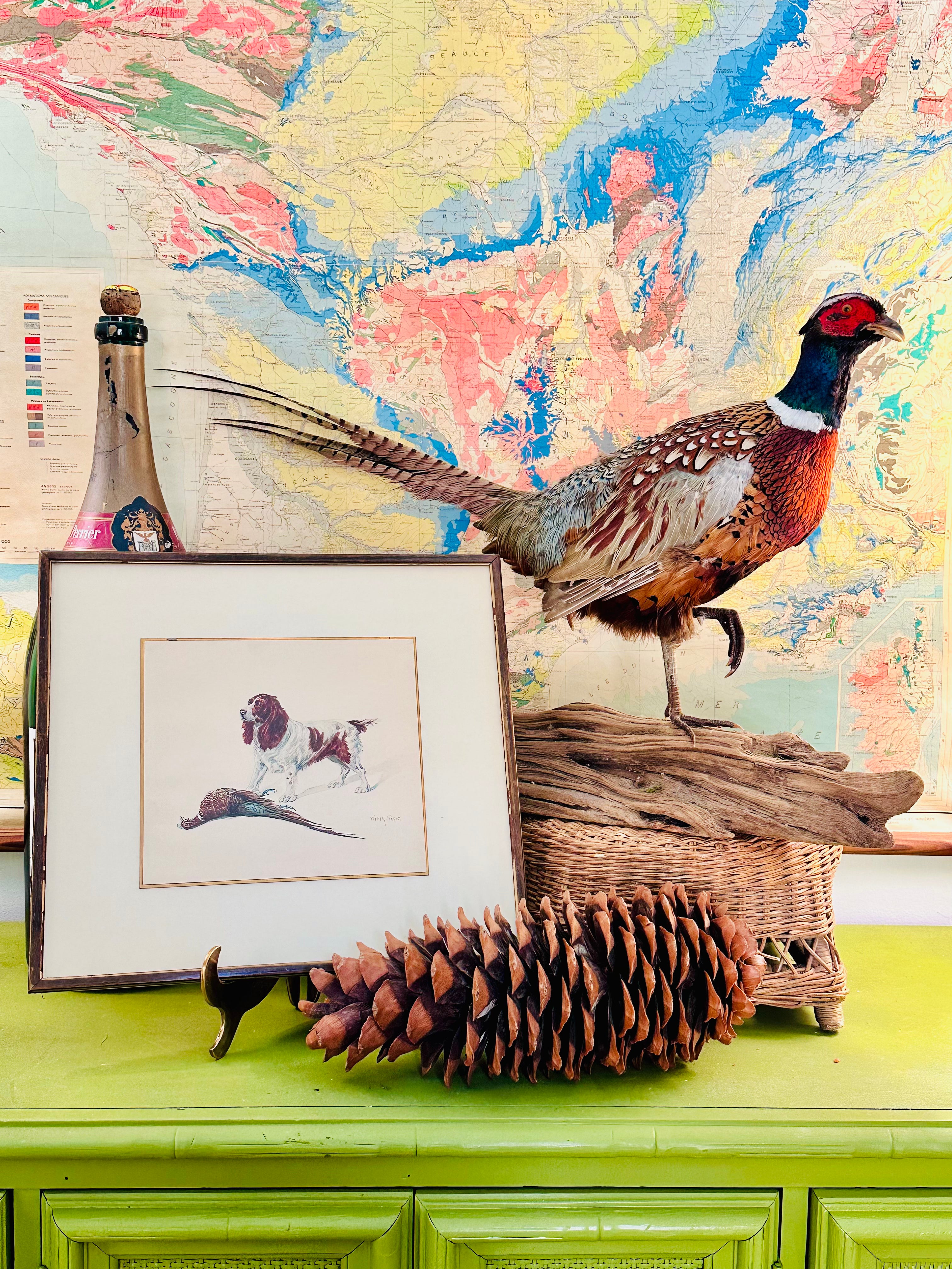 Brittany Spaniel & Pheasant