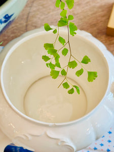 Vintage Tureen
