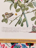 Load image into Gallery viewer, Vintage Botanical with Butterflies
