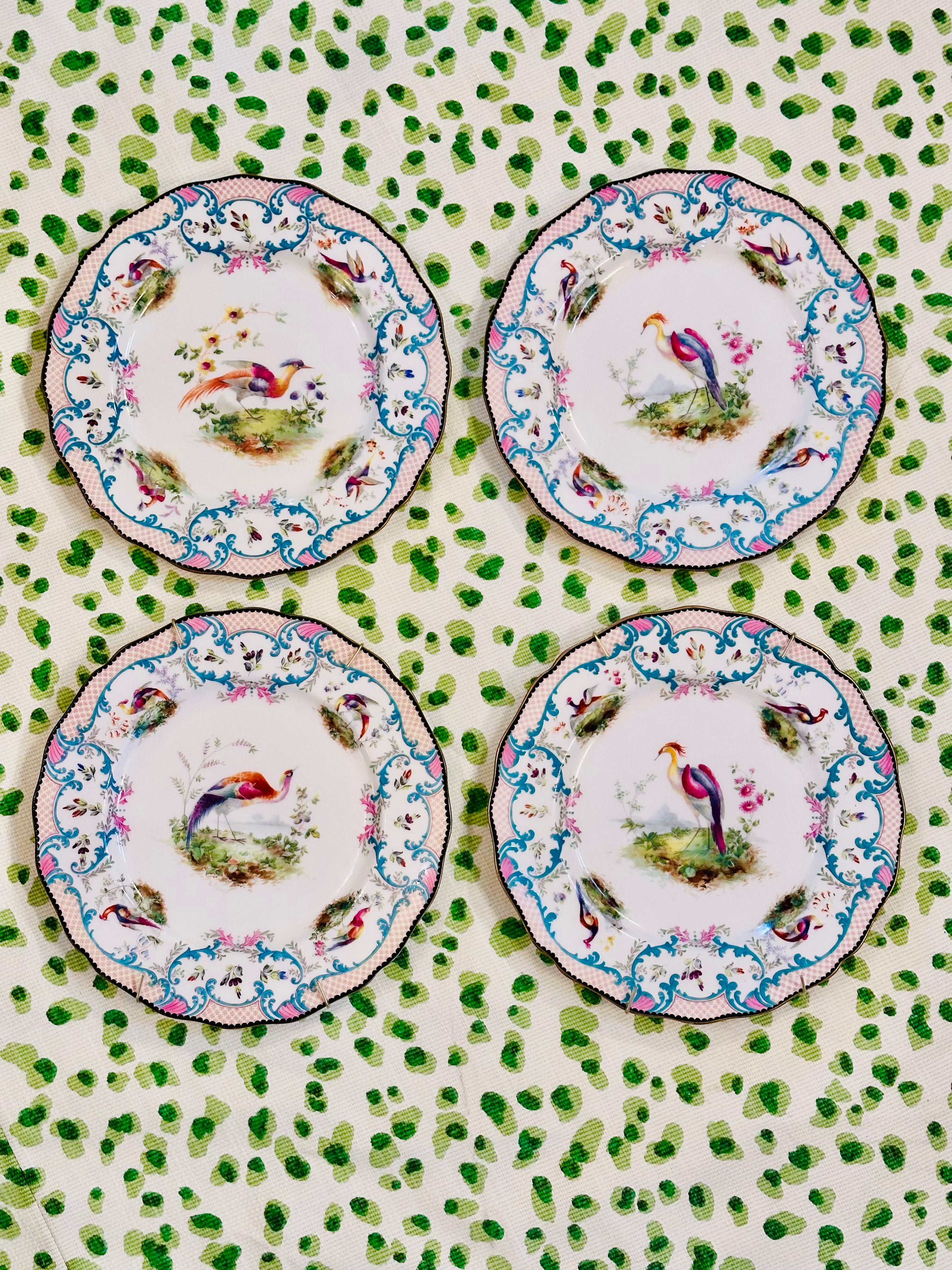 Set of Four Royal Dalton Birds of Paradise Dinner Plates