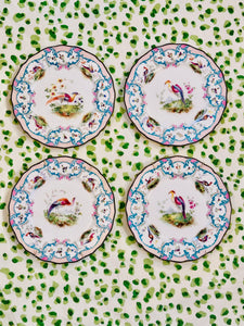 Set of Four Royal Dalton Birds of Paradise Dinner Plates