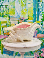 Load image into Gallery viewer, The Most Magnificent Pink &amp; White Conch
