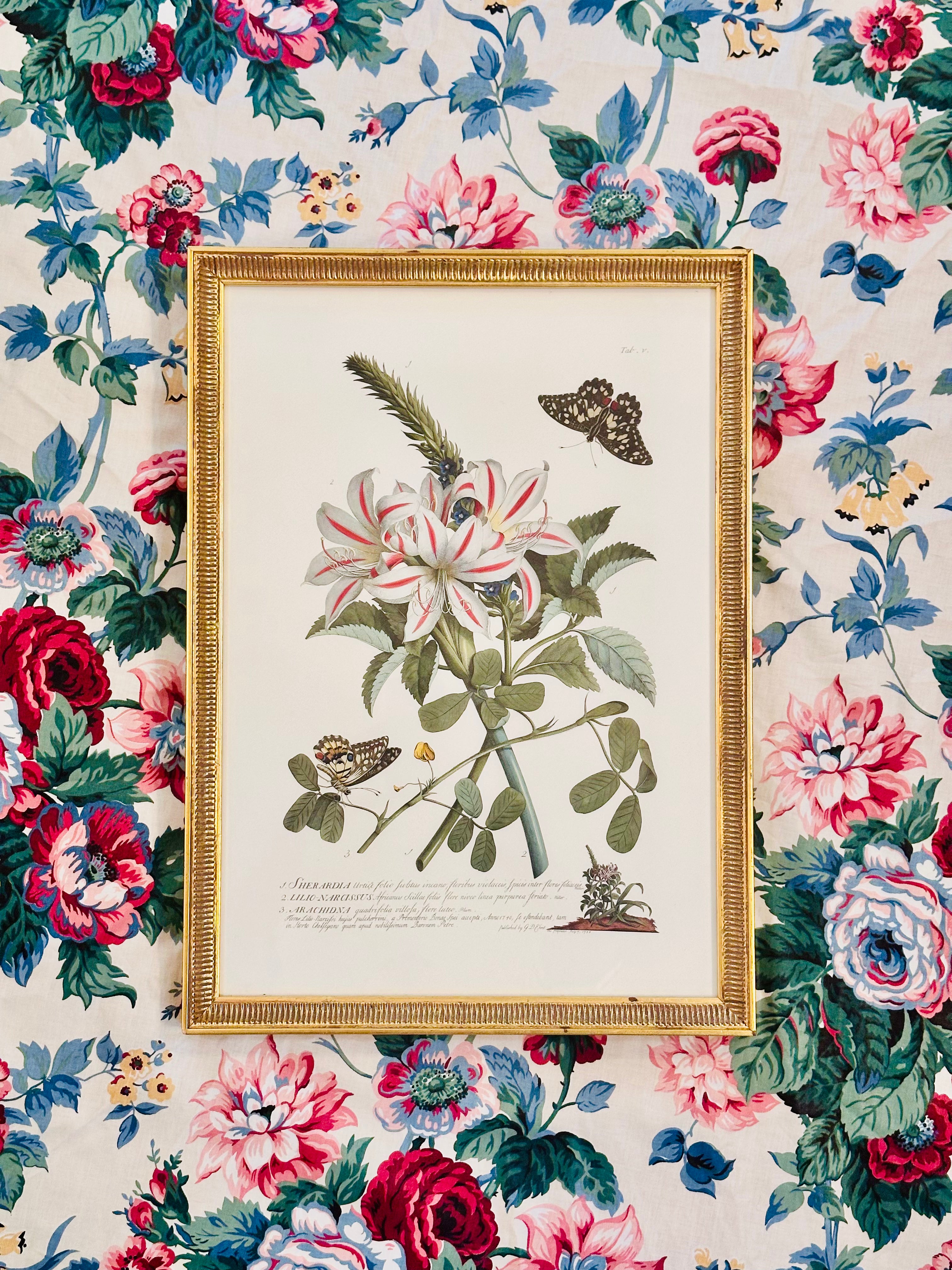 Vintage Botanical with Butterflies