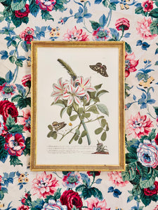 Vintage Botanical with Butterflies