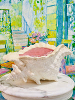 Load image into Gallery viewer, The Most Magnificent Pink &amp; White Conch
