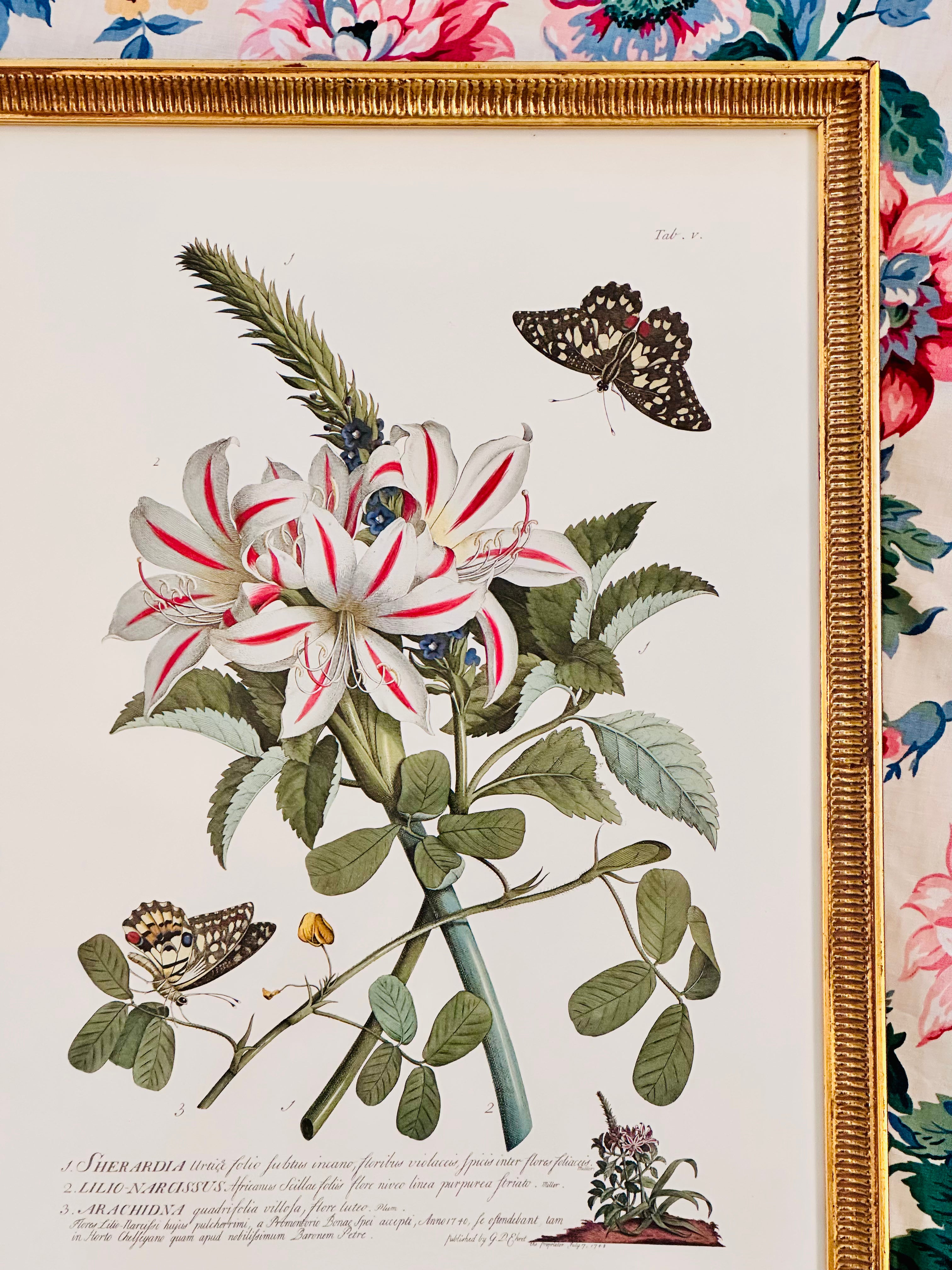Vintage Botanical with Butterflies