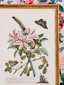 Vintage Botanical with Butterflies