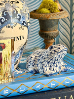 Load image into Gallery viewer, Hand Painted Fishnet Frog
