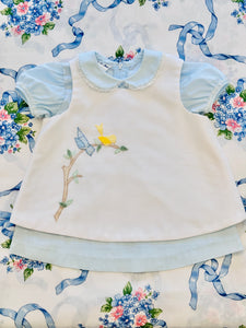 Lovely Pale Blue Dress with Embroidered Apron